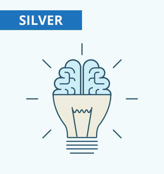 Cognitive Ability Test – Online course – Silver Cognitive Ability Test – Online course – Silver