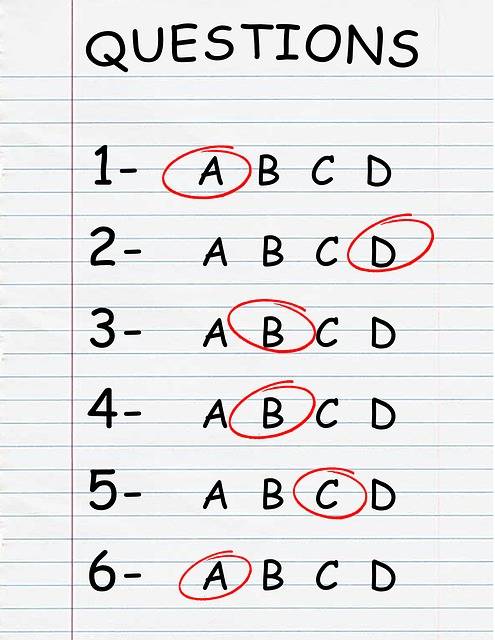 The Wonderlic Test: Uses, features and alternative tests - Evalart