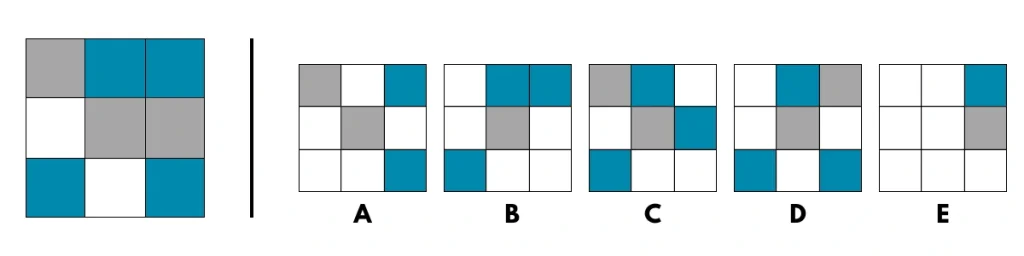 Main checkered figure